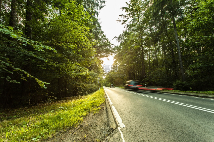 横穿绿林的荒凉道路图片