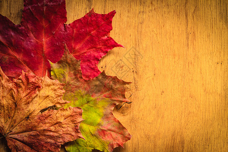 秋天边框素材秋叶边框以木背景和复制空间背景