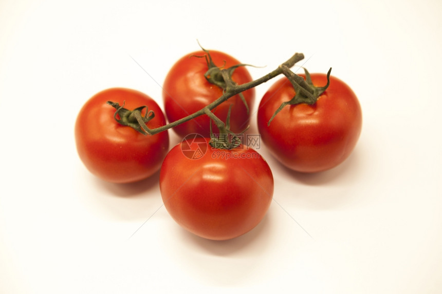 红西里成熟的红番茄新鲜枝子白色的红西里成熟红番茄新鲜枝子白色的西里红番茄新鲜枝子图片