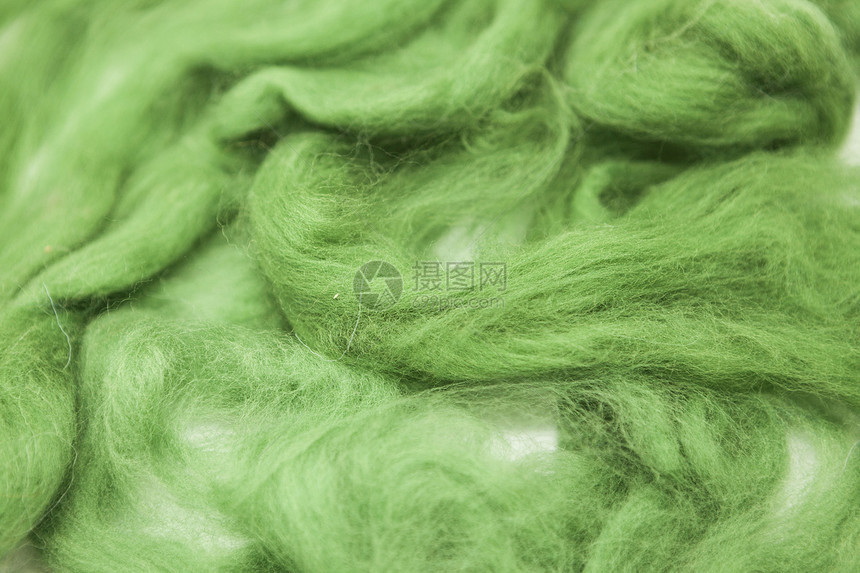 橄榄绿的澳大利亚羊毛梅里诺品种近距离接白色背景图片