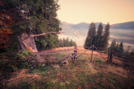 清晨迷雾秋天山丘的古老照片背景图片
