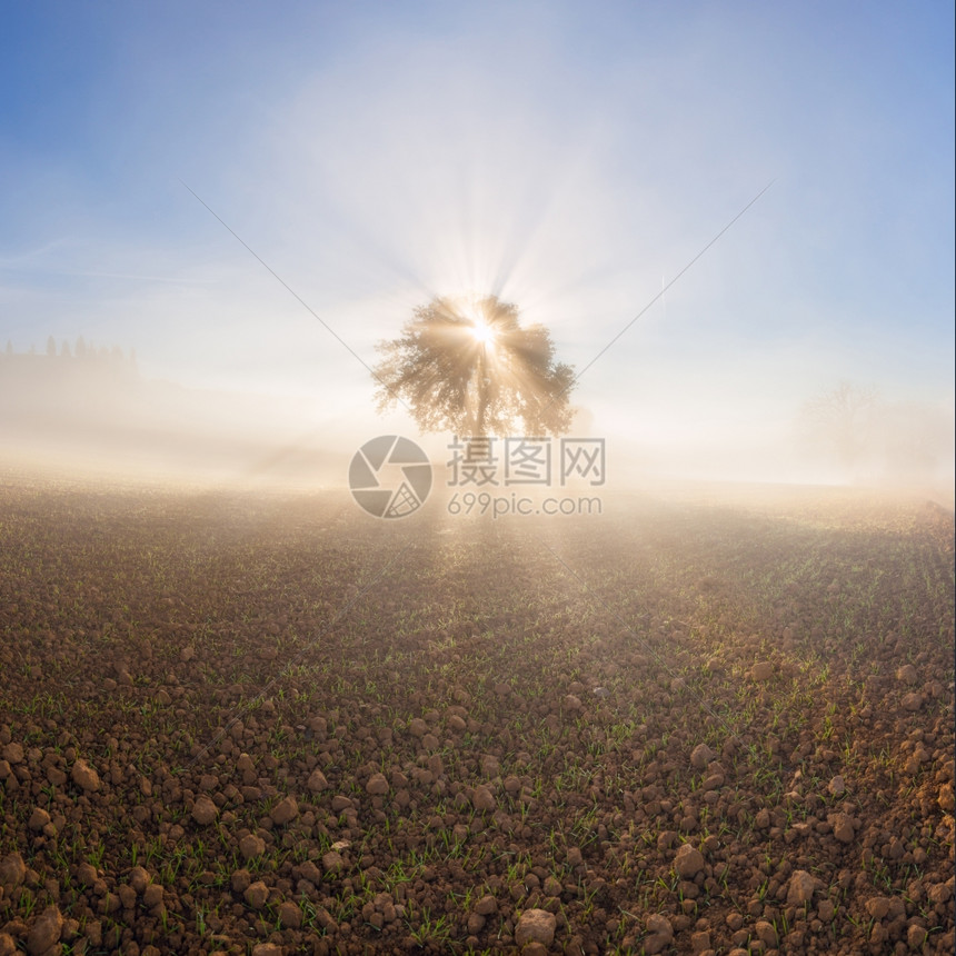 阳光明媚和雾地貌的全景托斯卡纳意大利欧洲图片