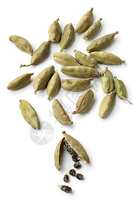 白色背景的绿卡通豆和种子背景图片