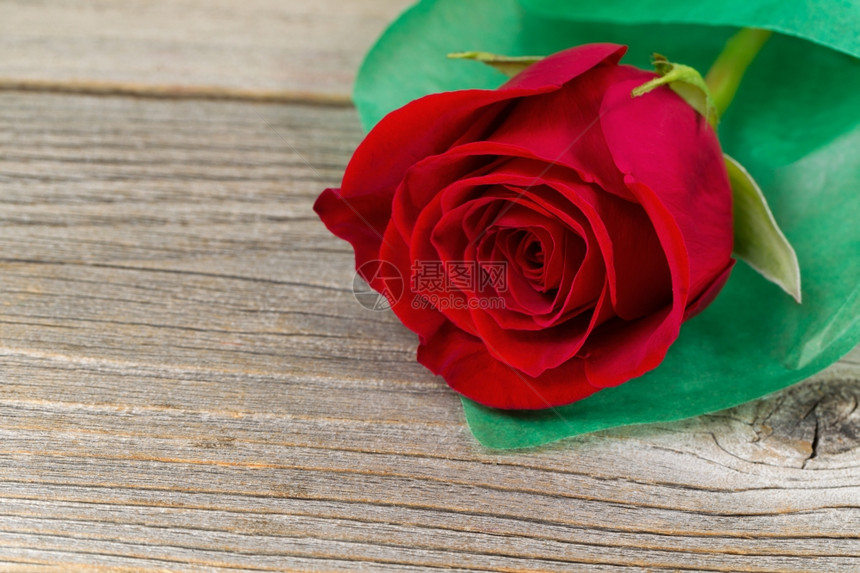 紧贴着一朵纯净的红玫瑰裹在软绿纸上生锈的木头上情人节的概念图片