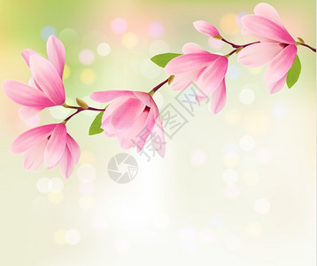 生活特写粉红色花朵的情人矢量背景插画
