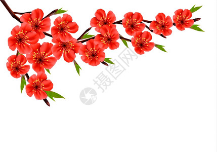 盛开的红色鲜花矢量元素图片