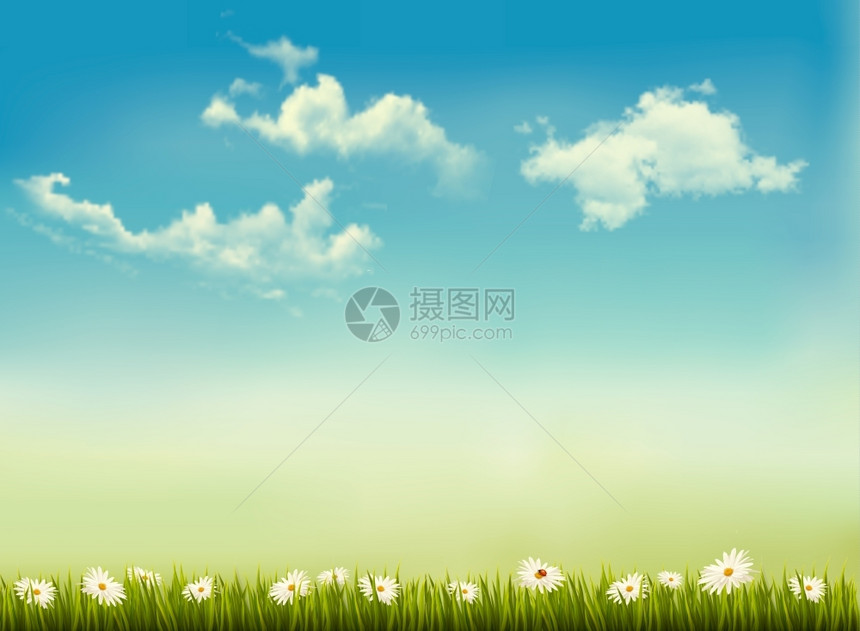 蓝色天空的草地上盛开的鲜花矢量插图图片