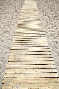 沙海滩木制的道路图片