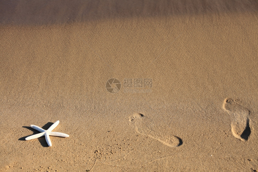 沙滩上的脚和海星指纹图片