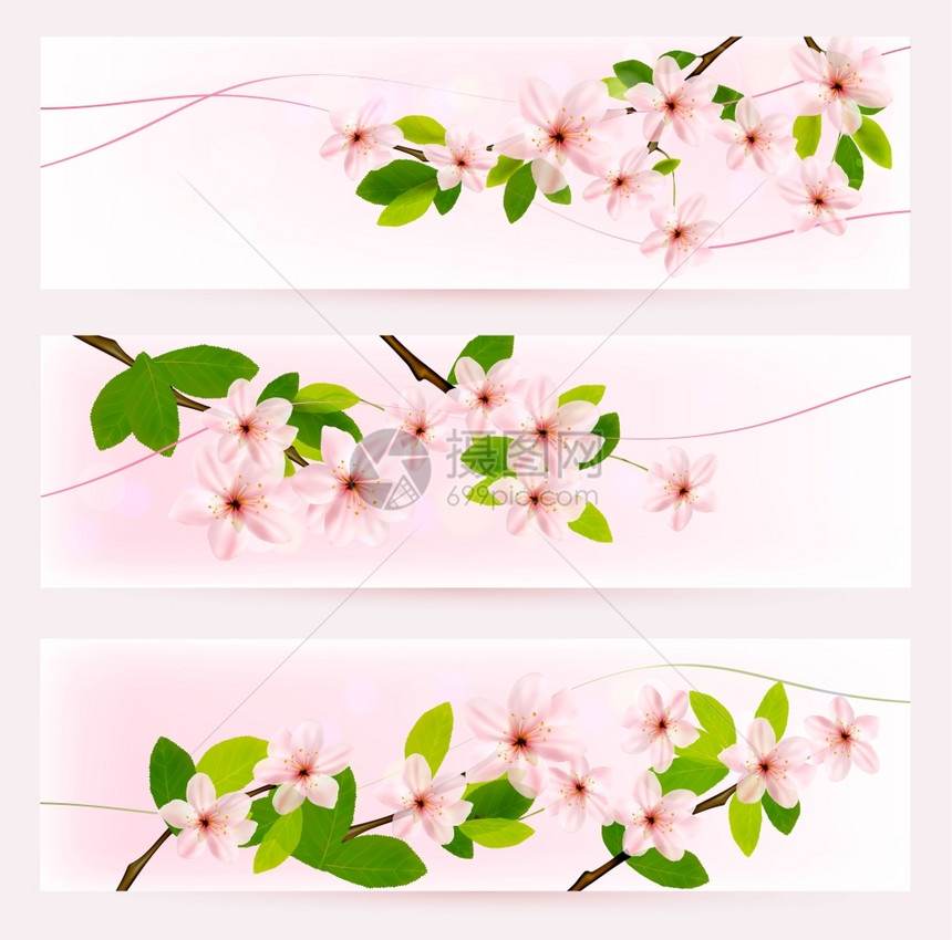 树上盛开的粉色花朵矢量背景图片