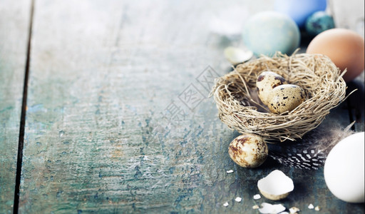 复活节鸡蛋和木本底筑巢复活节构成图片