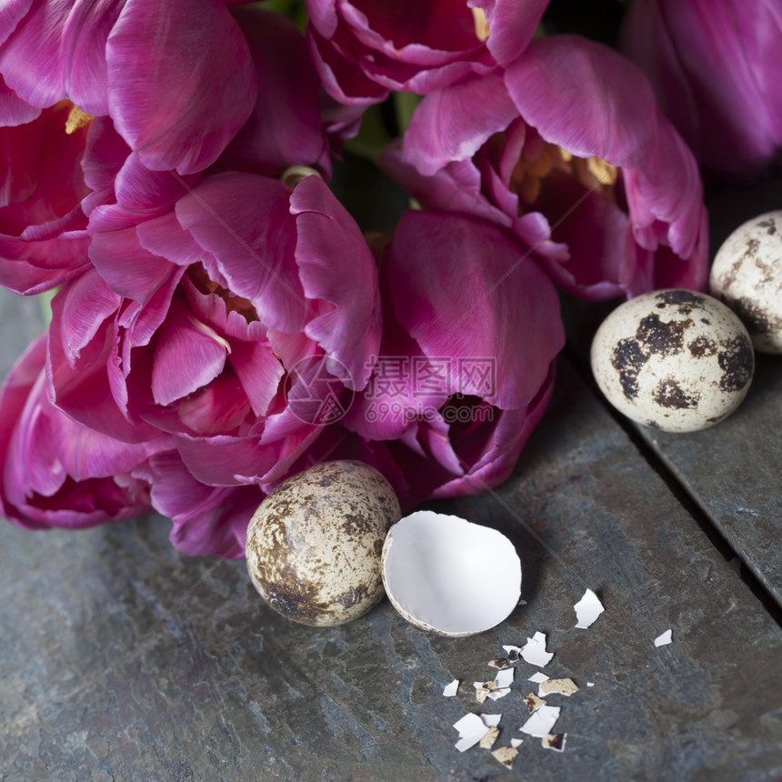 复活节配有郁金香和鸡蛋图片