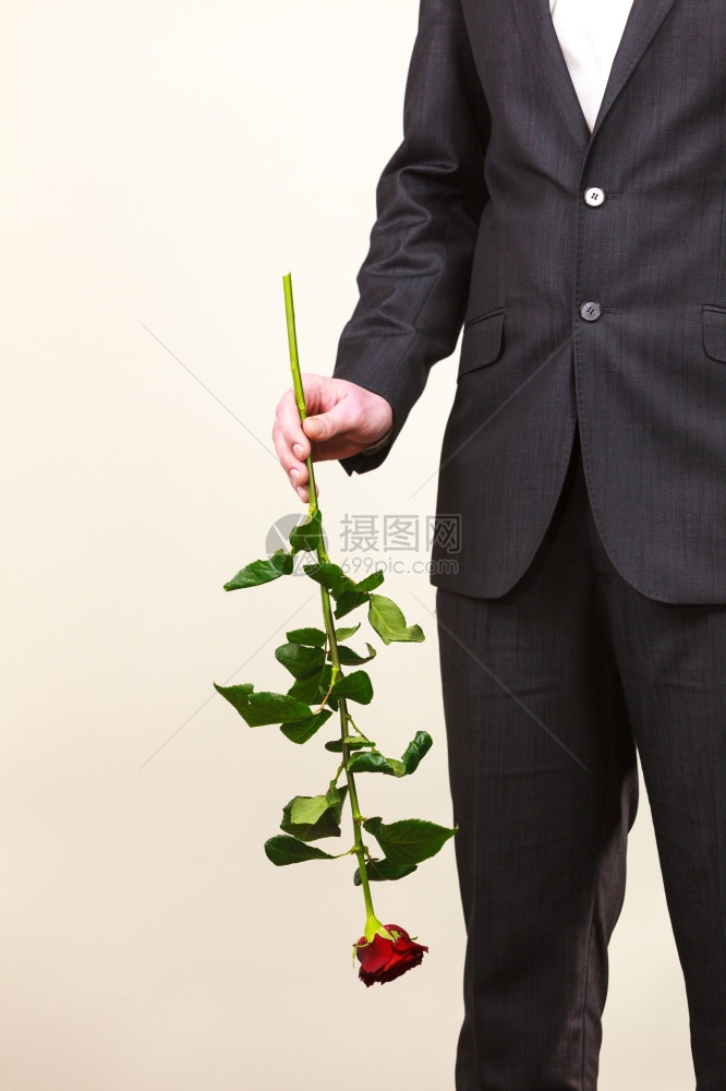 穿西装的人拿着红玫瑰花穿黑西装的人手里拿着红玫瑰花周年纪念建议和订婚概情人节图片
