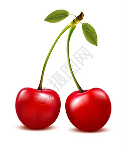 两颗红樱桃莓和叶子矢量图片