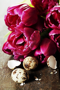 鹌鹑蛋和郁金香花瓣近视图图片