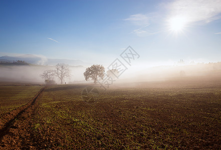 阳光和雾的乡村风景托斯卡纳意大利欧洲图片