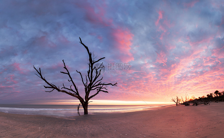 美国南卡罗来纳州埃迪斯托岛日落阴云的植物湾海滩图片