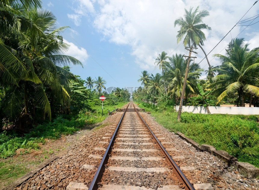 在斯里兰卡丛林的铁路附近签字图片