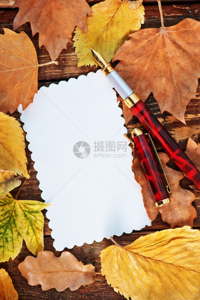 秋叶与钢笔图片