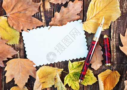 秋叶与钢笔背景图片