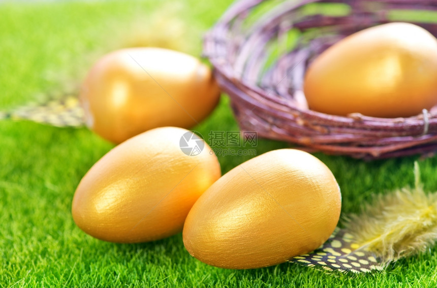 绿草坪上的鸟窝装着金色鸡蛋图片