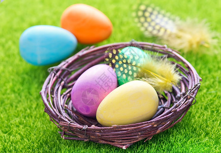 绿草坪上鸟窝里装着彩色鸡蛋和羽毛图片