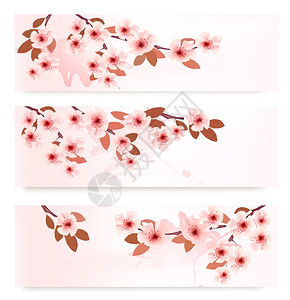 三个春天的横幅树枝开花粉红色的朵矢量插图图片