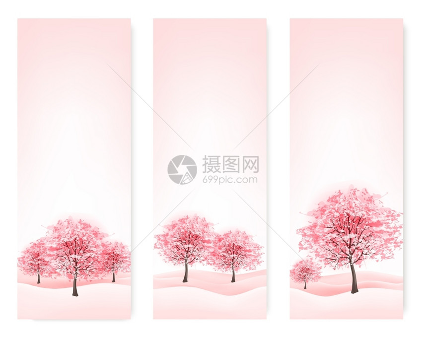 春天茂盛的樱花树图片