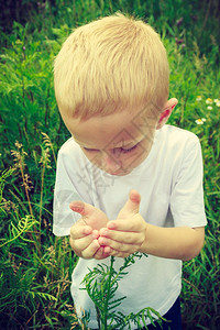 儿童在草原上采摘花卉图片
