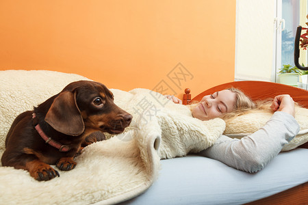 睡着后在床上醒来的女狗在毛毯下躺着的年轻女孩图片