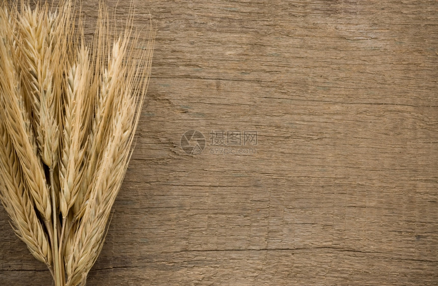 小麦在木质料背景上的耳尖图片
