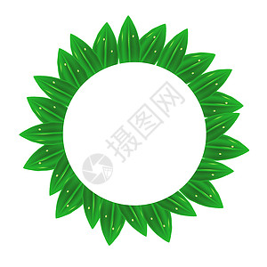 绿叶框架孤立于白背景绿叶框架圈图片