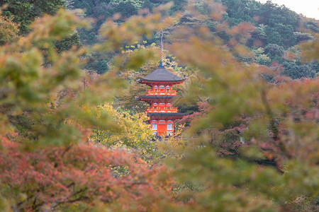 道教素材网站日本京都清水市寺背景