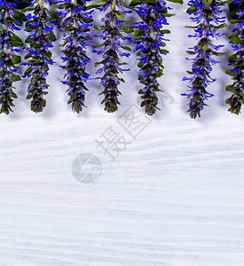 白木上的野蓝花在框架的顶部俯视下方图片