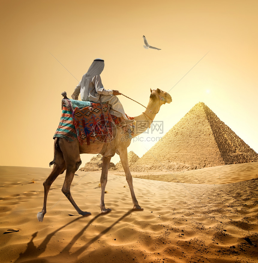 沙漠金字塔附近的贝都因人和鸟图片