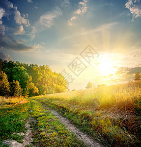 消失的森林秋天的太阳光和乡村公路背景