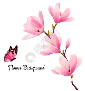 自然背景有粉红色花朵和蝴蝶的鲜枝图片