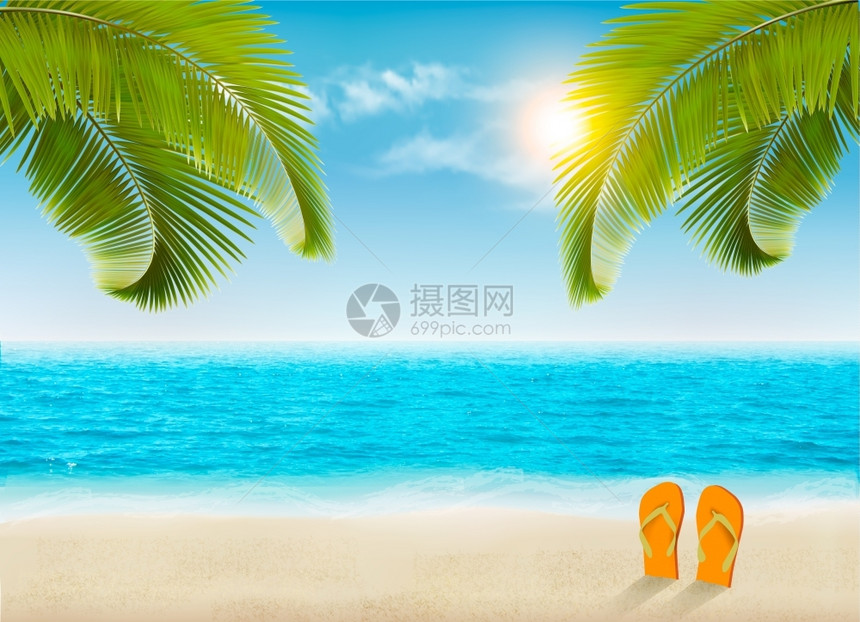 棕榈树海滩大海矢量背景图片