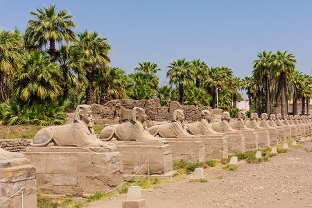 构成埃及卢克索神庙一部分的像图片