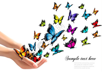释放彩色蝴蝶的矢量插图图片