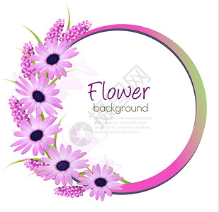 紫色鲜花背景背景图片
