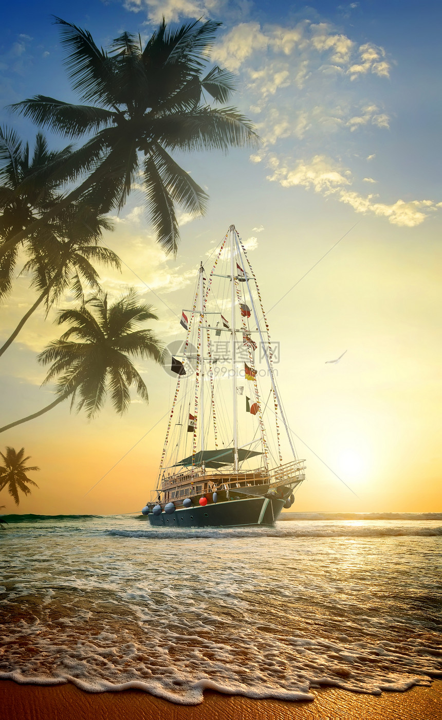海岸附近有棕榈树的海洋中美丽船图片