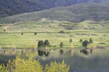 科洛拉多山丘的马牙保留地和洛里公园春季风景有新鲜绿色图片