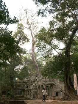 高棉建筑拜顿寺庙吴哥洞暹粒柬埔寨图片