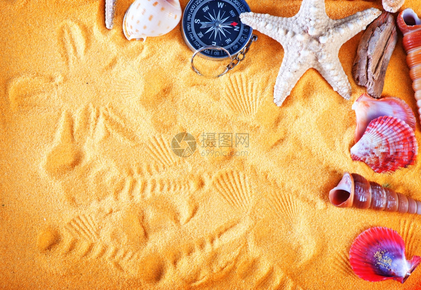 色海壳和星夏季背景图片
