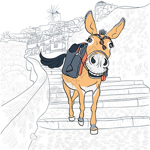 奥蒂吉亚希腊圣托里尼奥亚村的驴子插画