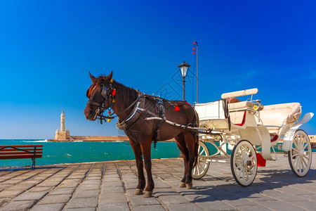 灯塔和马夏日阳光明媚的希腊克里特Chania旧港的Chania马车和灯塔背景