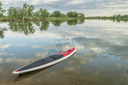 红起身在平静的湖上划桨准备踏板运动科罗拉多州林斯堡阿拉帕霍本德自然区图片