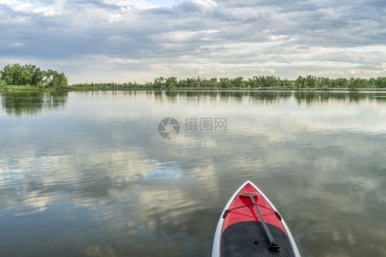 在平静的湖面上用一个划桨起立红色的板在平坦湖面上阿拉帕霍本德自然地区科罗拉多州柯林斯堡图片