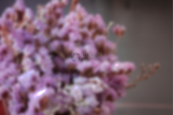 底模糊的紫花干库存照片图片